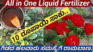 Organic Liquid Fertilizerಹೂವು ಆಗದ ಗಿಡಗಳಲ್ಲಿ ಗೊಂಚಲು ಗೊಂಚಲು ಹೂವು ಮೊಗ್ಗು ಉದುರುವ ಸಮಸ್ಯೆಗೆ ಒಳ್ಳೆ ಉಪಾಯ [upl. by Rush]