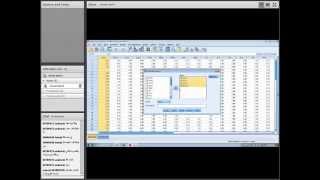 Principles of SPSS Cronbach Alpha [upl. by Ylrebmic507]