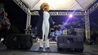 quotWHEN TANYA STEPHENS TOUCHED THE STAGE  TRANG BACK BOSTON JERK FESTIVAL 2024quot HITS AFTER HITS🔥🔥🔥🔥🔥🔥 [upl. by Eliak]