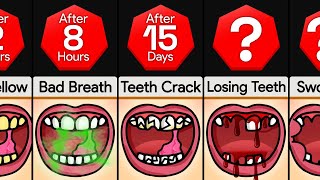 Timeline What If You Chew Gum Nonstop [upl. by Nowad401]