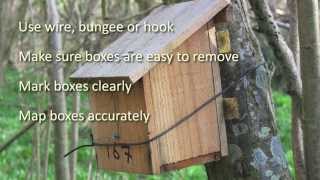 A guide to putting up a dormouse box [upl. by Cousins]