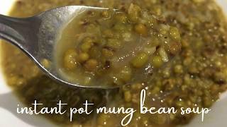 Mung Bean Soup In Instant Pot [upl. by Eleazar]