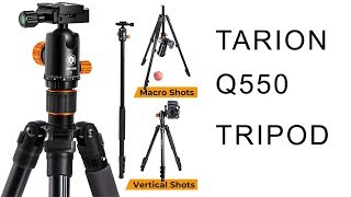 Gear Review  Tarion Q550 Tripod [upl. by Ravahs]