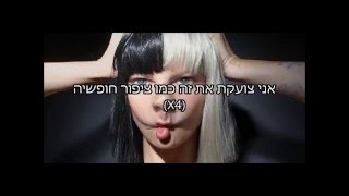 Sia  bird set free מתורגם [upl. by Elleinaj]