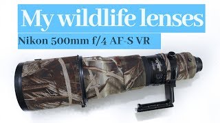 My lenses for wildlife photography I Nikon 500mm f4 VR [upl. by Baird]