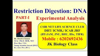 Restriction Digestion DNA Experimental analysis Video lecture by Dr Jitendra Kumar [upl. by Valer915]