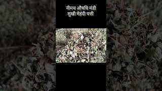 नीमच औषधि मंडी भाव। मेंहदी पत्ती का भाव । neemuch mandi bhav shorts [upl. by Norehs]