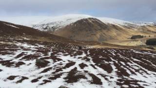 In search of Mountain Hare [upl. by Enirol]