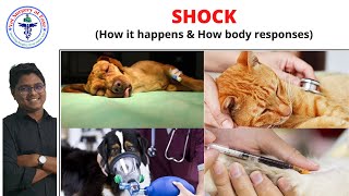 Shock  General Surgery  Lecture 04 [upl. by Notreve]