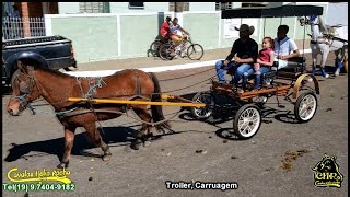 Troller Carruagem Charrete cavalos Helio Rocha [upl. by Itteb]