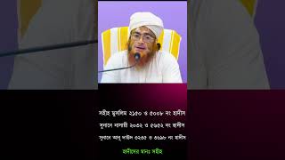 কবর যিয়ারত করা কি   Nasiruddin Chandpuri  মুফতী নাসীরুদ্দীন চাঁদপুরী [upl. by Alithea]