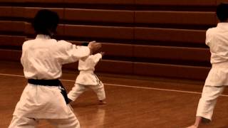 瀬戸塾  SETO JUKU JKA Tokyo Meguro Kata Heian Sandan Shotokan Kyokai Berlin 042015 in Tokyo [upl. by Ainsley]