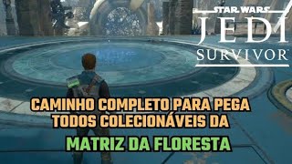 Como Fazer o Caminho Completo e Pegar Todos Colecionáveis da MATRIZ DA FLORESTA  Star Wars Survivor [upl. by Jefferey]