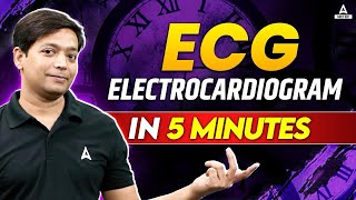 ECG Electrocardiogram  Complete Heart Electrical Signals  Body fluids and Circulation Class 11 [upl. by Acirem]