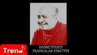 Ahmed Arif  Hani Kurşun Sıksan Geçmez Geceden [upl. by Eked610]