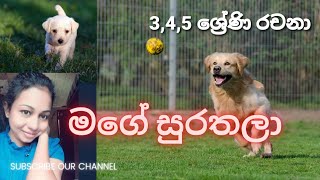 මගේ සුරතලා  බල්ලා  mage surathala  345 rachana  345 ශ්‍රේණි රචනා my pet scholarship essay [upl. by Alikat923]