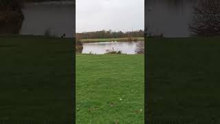 Pentre Mawr Park Pool [upl. by Yecniuq]