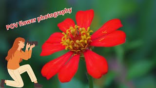 Flower photography Nikon D5200 Camera with Manual Focus [upl. by Elwaine]