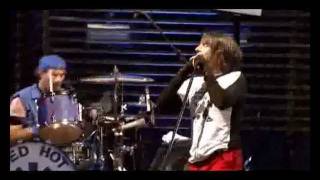 Red Hot Chili peppers Live at Slane Castle Full Concert [upl. by Elbertine115]