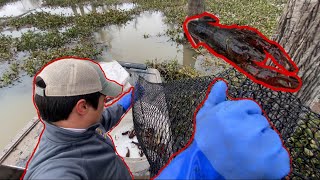 CRAWFISHING THE ATCHAFALAYA BASIN [upl. by Inalaehak311]