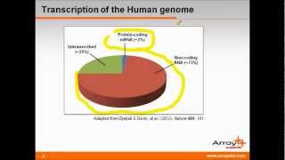 Long noncoding RNAs in Development amp Disease Progression [upl. by Eeneg]