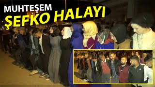 MUHTEŞEM ŞEVKO HALAYI  MAHALLE DÜĞÜNÜ [upl. by Bick]