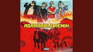 Agradable Remix feat Trainer [upl. by Cortie89]