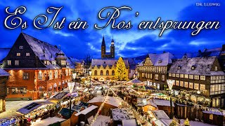 Es ist ein Ros entsprungen German Christmas songEnglish translation [upl. by Hendrika261]