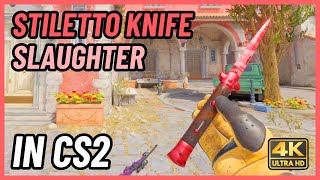 ★ CS2 Stiletto Knife Slaughter  CS2 Knife InGame Showcase 4K [upl. by Nehtanhoj]