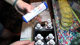 Aquarium Chemistry Part 1 The difference between strips and vials [upl. by Gula406]