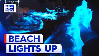 Beach glows as bioluminescent algae shows up in SA  9 News Australia [upl. by Attalanta]