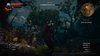 THE WITCHER 3  BLOOD AND WINE  COMO MATAR BRUXA MÁ [upl. by Pruter285]