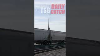 trains shorts 1youtubeshorts tsgdailycatch 110424 [upl. by Yrolg]