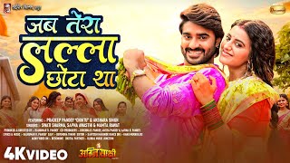 जब तेरा लल्ला छोटा था  Pradeep Pandey “Chintu  Akshara Singh  Swati Sharma  New Movie Song [upl. by Alecia]