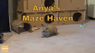 Anyas Maze Haven [upl. by Lula]