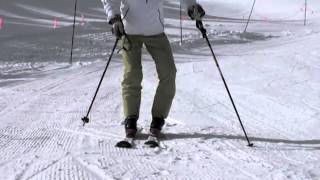 Harald Harb quotHow to Skiquot Series 1 Lesson 1 Beginning Parallel Skiing [upl. by Ahsekan]