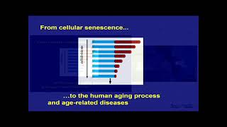 Longueur des télomères  de la sénescence cellulaire aux trajectoires du vieillissement humain [upl. by Obellia]