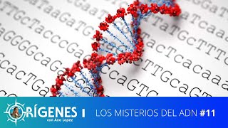 Los Misterios Del ADN I ORÍGENES TEMP 09  EP 11 [upl. by Avrenim]