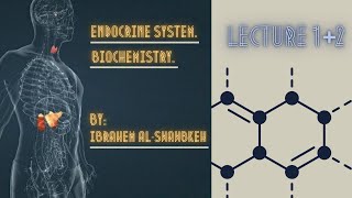 Endocrinology Biochemistry lecture 12 [upl. by Roxie]