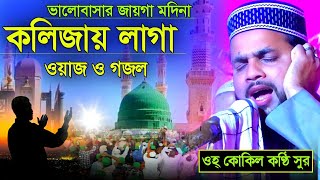 হয়রত মুসাআব রঃও মায়ের আশ্চর্য ঘটনাভালোবাসার জায়গা মদীনাকলিজায় লাগা ওয়াজ ও গজলIsmail Amini [upl. by Melborn]