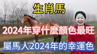 生肖屬相馬！屬馬人在2024年穿什麼顏色最旺？生肖屬馬人2024年幸運色是什麼！本期視頻講述2024生肖馬！運勢 顏色 風水 2024 [upl. by Adiraf]