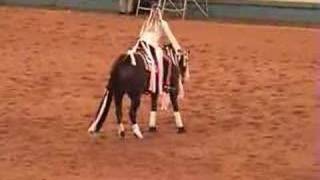 Guinness NRHA Freestyle Reining 2006 [upl. by Ecyoj554]