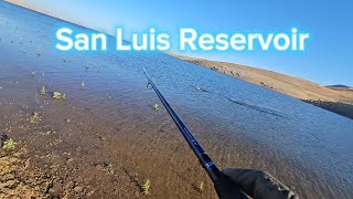 San Luis Reservoir striper fish [upl. by Akila]