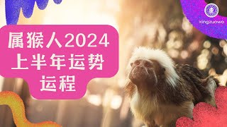 属猴人2024年上半年运势运程如何 属猴人2024年上半年运势运程详解属猴人2024年运势 属猴上半年运程 属猴人2024年上半年运势 2024年龙年属猴人运程 [upl. by Almeta86]