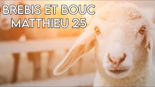 Brebis vs Boucs  Matthieu 25  Message Biblique [upl. by Goddart]