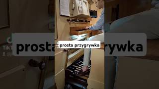 Pod Twą obronę liturgia organista organy [upl. by Dillon]