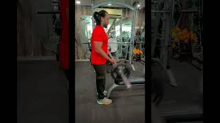 Back amp biceps full workout motivation video youtubeshorts nagpure workout motivational [upl. by Ohce]