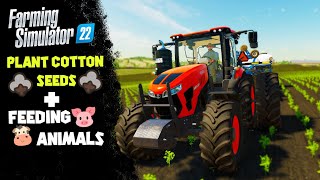 Growing Cotton In My Biggest Two Field  Farming Simulator 22  In Hindi  Part 12 [upl. by Lavina852]