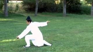 Wudang Five Animal Qi Gong Complete 武當五行氣功 [upl. by Burget]