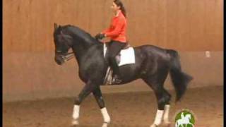 Catherine Haddad Staller on Skeletal Riding and Basics Every Dressage Rider Should Know [upl. by Pack]